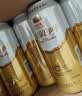 燕京啤酒12°P 原浆白啤500ml*15听整箱装 包装混发 现货热卖 实拍图