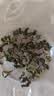 贡苑桑叶茶260g 霜打冻桑葚叶干新鲜霜后老树嫩叶桑叶干茶叶花草茶 实拍图