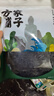 方家铺子 幼嫩头茬紫菜120g/袋  滑嫩无沙 虾皮紫菜蛋花汤 海产干货 实拍图