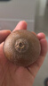 佳沛（zespri）新西兰阳光金奇异果16粒礼盒经典果单果 88-103g  猕猴桃水果礼盒 实拍图