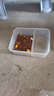 亿迪猫粮幼猫1-4月12月全价奶糕蓝猫英短小猫专用哺乳离乳期3斤 实拍图