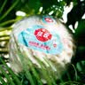 佳农泰国进口椰青 6粒单果约800g赠开椰器吸管 源头直发 生鲜水果礼盒 实拍图
