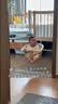 欣怡万嘉儿童室内荡秋千家用户外庭院婴儿秋千室内0-3岁宝宝吊椅室外便携 26新款儿童秋千-淡绿色 实拍图