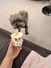 哈根达斯（Haagen-Dazs）经典夏威夷果仁口味冰淇淋 100ml/杯 雪糕 实拍图
