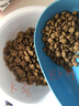 皇家幼猫奶糕 幼猫猫粮 BK34 通用粮 1-4月 10KG 实拍图