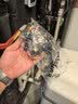伟星 PPR双活接球阀6分dn25 家装入户水管管件热熔前置暖气改造总阀门正品 实拍图