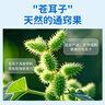 sister care苍耳子鼻舒贴儿童鼻炎贴成人鼻子不通气鼻堵鼻塞鼻痒通鼻贴10贴 实拍图