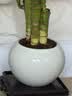 九千谷仿陶瓷花盆高款树脂种植花卉绿植花盆口径15cm小号含托3972 实拍图
