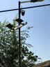 奥克斯4g太阳能摄像头室外无电无网终身免费流量免插电手机远程高清监控器家用户外360度无死角全景夜视 实拍图