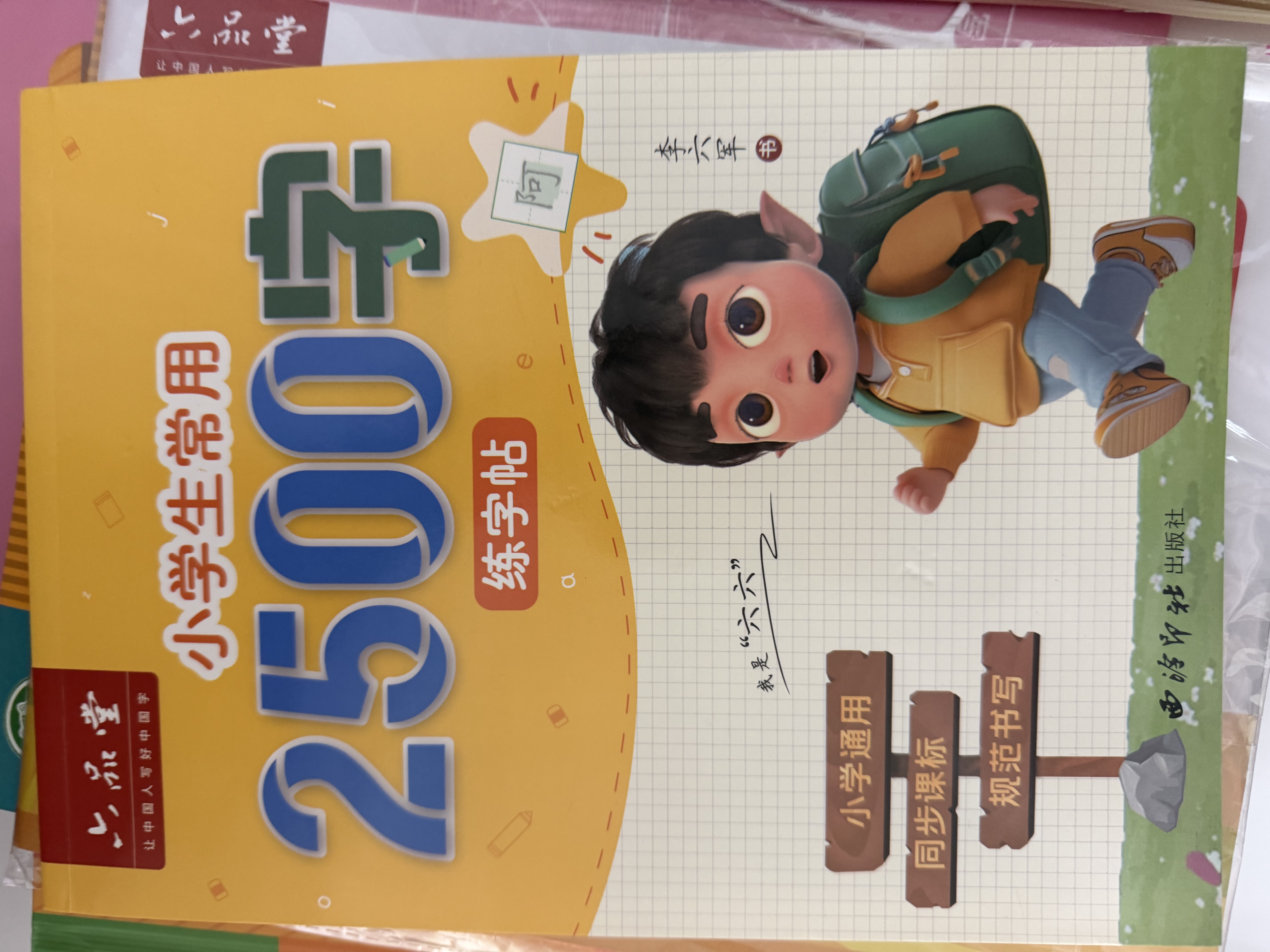 六品堂小学生专用练字帖2500字练习字帖一年级二年级三年级四五六年级楷书描红钢笔练字硬笔书法 实拍图