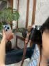 HUAWEI Pura 90 Pro Max 16GB+512GB 橘子海 超大底2亿长焦 XMAGE智拍 鸿蒙智能手机华为手机 实拍图