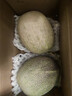 京鲜生 甘肃脆甜哈密瓜西州蜜 净重3.5-4.5斤 1粒装 生鲜水果源头直发 实拍图