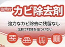 巨奇（JUQI）墙体除霉剂500ml墙面衣柜去霉点霉斑霉菌清除剂墙布木材除霉 实拍图