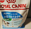 皇家狗粮幼犬奶糕幼犬狗粮宠物小型犬MIS30全价犬粮 ≤2月1KG 实拍图