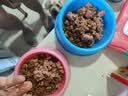 力狼狗粮 纯然金毛阿拉斯加40拉布拉多萨摩耶马犬德牧中大型犬粮 鸭肉梨｜肉粒三拼｜鲜肉犬粮40斤 实拍图