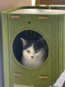 欢宠网猫爬架猫窝猫玩具猫咪玩睡一体猫屋封闭式多层树洞猫抓板四季通用 实拍图