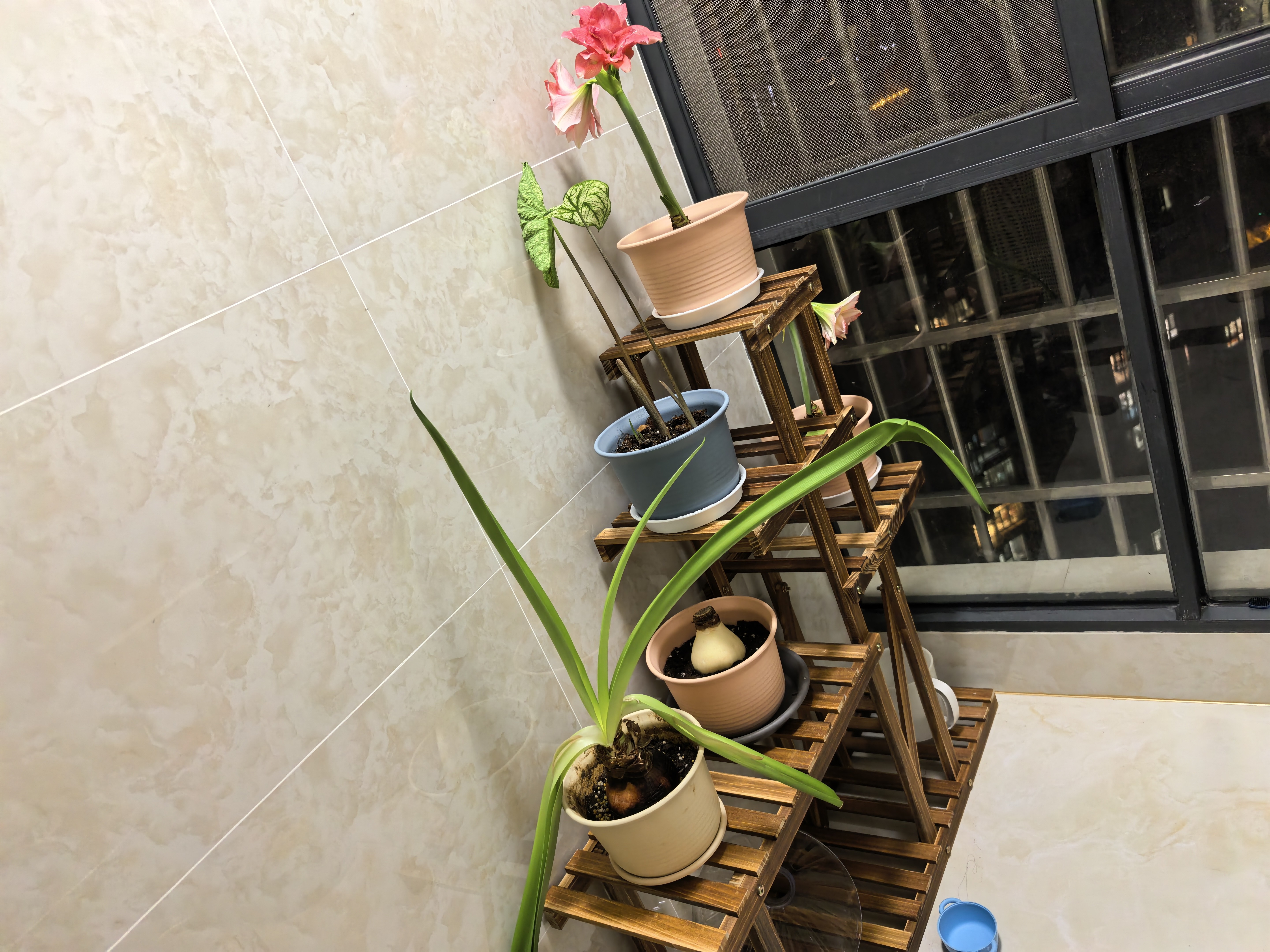 安尔雅松木花架子阳台客厅多肉植物架落地多层花台家用置物架花摆架 实拍图