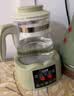 小壮熊婴儿恒温壶 调奶器烧水壶 暖奶器 恒温热水冲泡奶粉水壶 绿色1.3L 实拍图