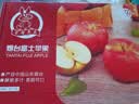 京鲜生山东栖霞红富士苹果 12粒 净重5斤 单果190g-240g 生鲜礼盒 实拍图