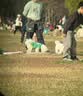 宝视德（bresser）德国儿童望远镜双筒玩具高清护眼小学生幼儿园户外宝宝生日礼物 6x防摔款绿色 实拍图