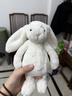 Jellycat害羞乳白色邦尼兔动物毛绒玩偶安抚玩偶娃娃送礼生日礼物 害羞乳白色邦尼兔 Small 实拍图