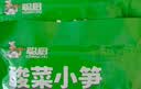 聪厨酸菜小笋238g笋蔬菜老坛酸菜半成品下饭菜炒制即食 实拍图