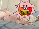 jollybaby宝宝安抚巾玩偶哄睡神器新生婴儿可入口毛绒手偶趴姿安抚巾 小猪 实拍图
