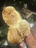香皂盒肥皂置物架免打孔吸盘壁挂式创意个性可爱沥水卫生间放神器 简约灰 实拍图