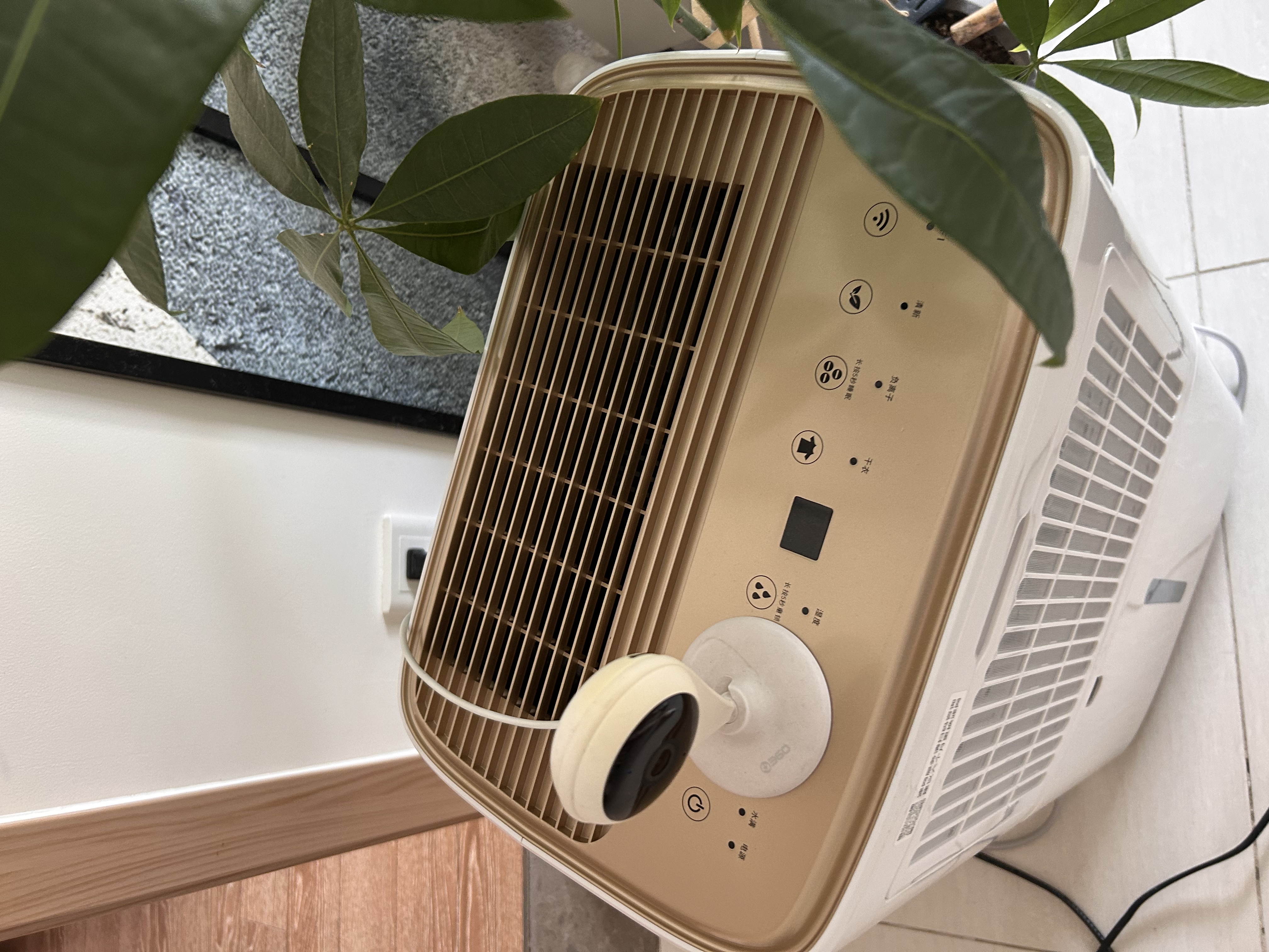 多乐信（DOROSIN）家用除湿机 除湿量30升/天 60㎡ 地下室智能除潮干衣除湿APP智控负离子干燥机ER-630ES 实拍图