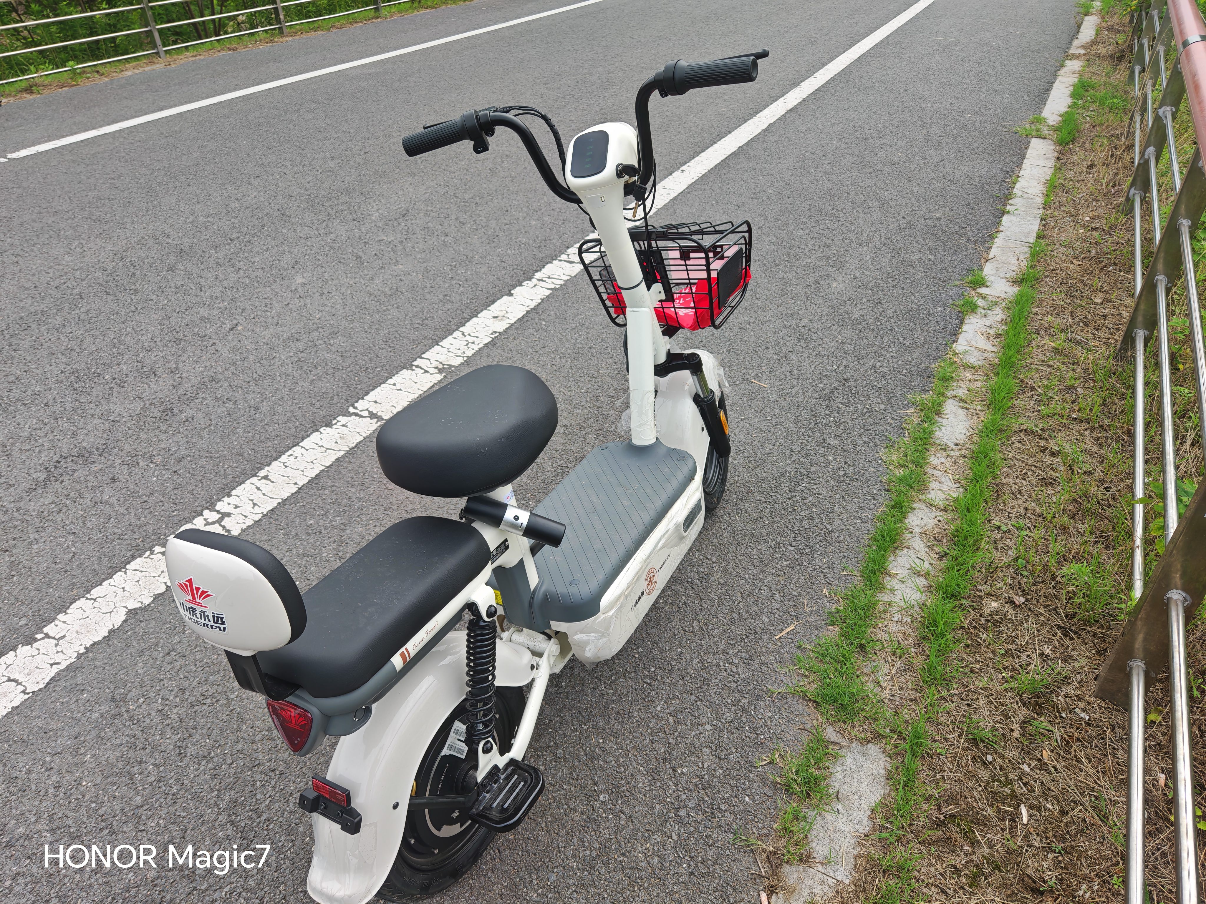 驰小虎电动自行车 吉祥虎新国标电动车电动自行车48V12Ah铅酸电池长续航电瓶车成人代步车电车白色 实拍图