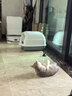 欢宠网猫玩具猫咪吸盘逗猫棒自动羽毛自嗨解闷神器铃铛猫猫幼猫小猫宠物 实拍图