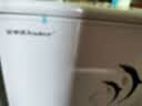 荣事达（Royalstar）冰柜商用大容量全冷冻卧式冰柜家用冷藏冷冻两用冷柜双温商用大冰柜冷冻柜展示柜 【热销 | 366双温蝴蝶门】长1.27米 | 双温双箱 实拍图