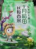 十月稻田 油粘米 银牙香粘米 10斤（南方大米 籼米 5kg/公斤） 实拍图
