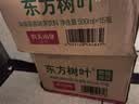 农夫山泉东方树叶绿茶500ml*15瓶无糖茶饮料0糖0脂0卡整箱装饮品 实拍图