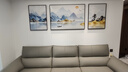 诗六艺家饰客厅装饰画北欧现代简约沙发背景墙挂画三联画大气轻奢壁画晶瓷画 背靠金山（铝合金外框） 晶瓷画左右50*70+中间100*70亮面 实拍图