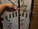 四万公里袜子晾衣架不锈钢晾晒架浸胶可折叠多功能内衣防风晾晒夹 2个 实拍图