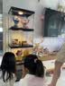 蔻丝（ColesHome）带灯透明乐高手办展示柜家用高达展示架陈列架 实拍图