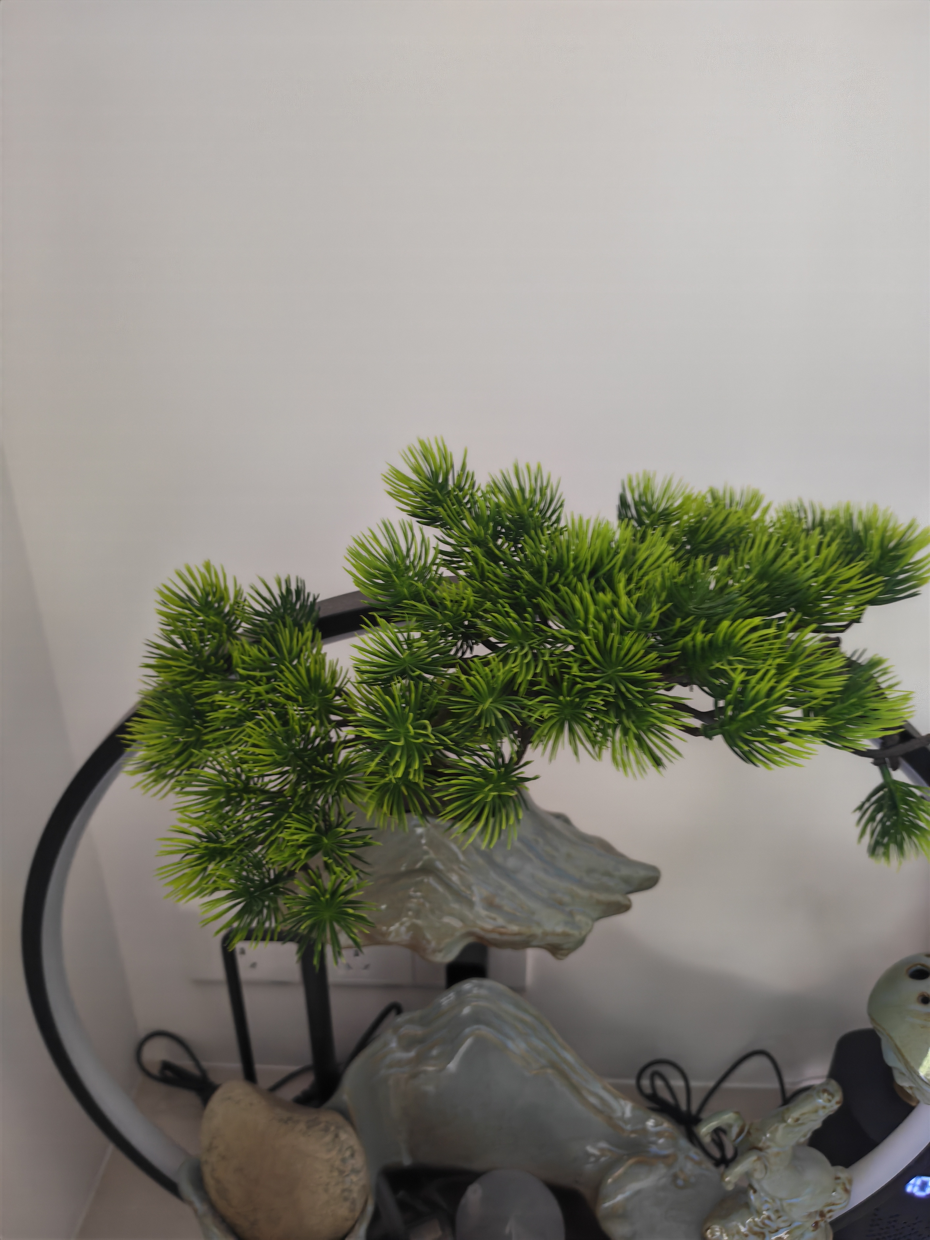 金霸王(Duracell)1号电池2粒装大号电池一号碱性适用于煤气燃气灶/热水器/收音机/电子琴等 LR20 实拍图