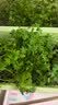 炫迈 无糖口香糖 草莓荔枝味28片*2盒100.8g 糖果零食 清新口气 便携 实拍图
