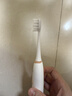 博皓（prooral）电动牙刷男女士专用成人电动牙刷情侣 自动牙刷智能电动牙刷便携正畸软毛刷头 象牙白【声波电动牙刷T39】 实拍图