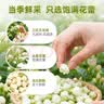 丙田 冻干桂花茶40克 桂林产鲜桂花无熏硫金桂干花食用搭红茶烘焙原料 实拍图