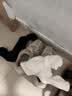 猫人女士袜子女秋冬【甜美JK中筒袜女】抗菌防臭中筒袜白色袜子女5双 实拍图