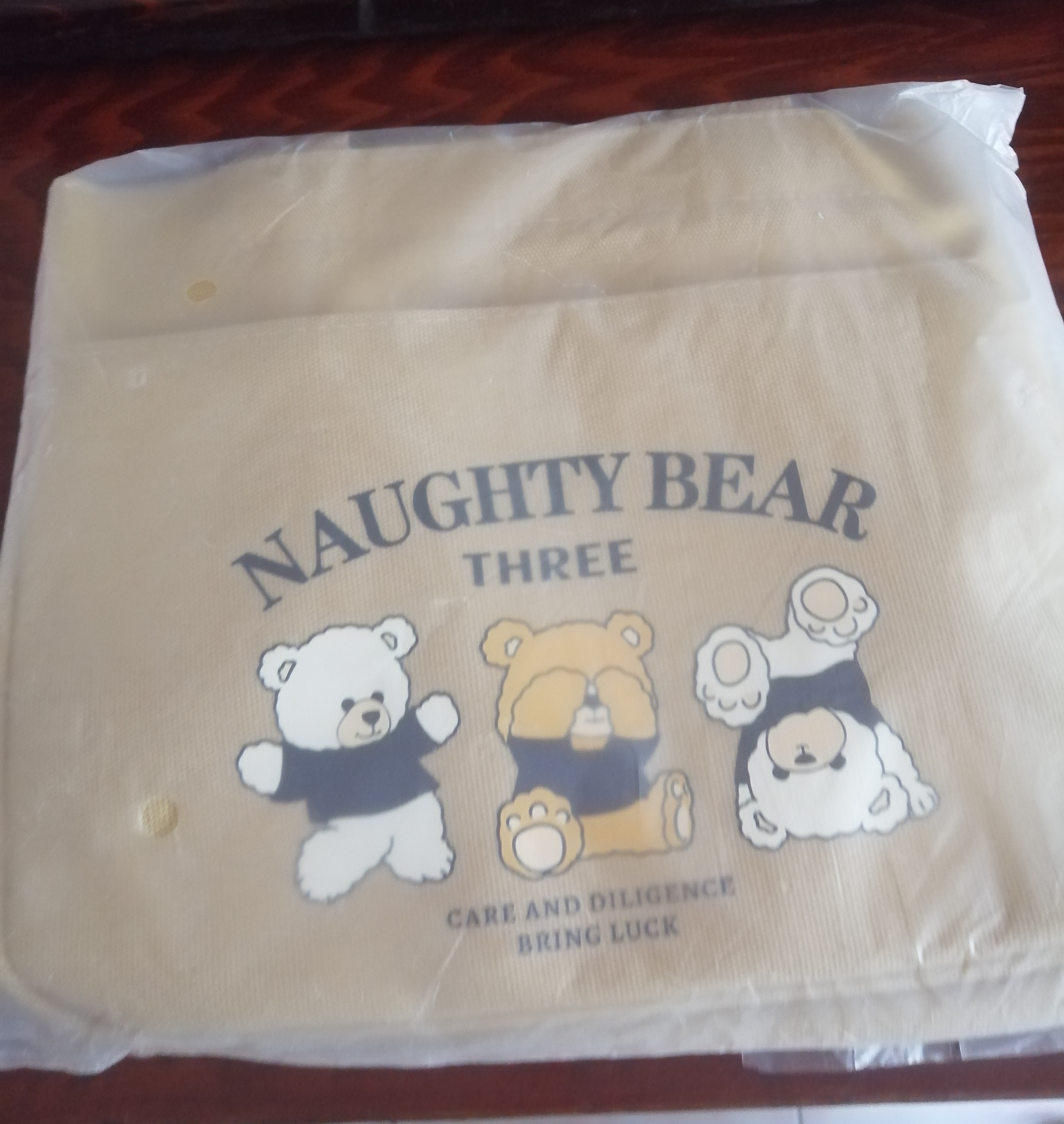 鹏境帆布手提包外出简约小巧饭袋包立体手拎包通勤加厚上班便当宝妈 搞怪小熊小方包【卡其色】 实拍图