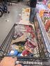 小猫汤米第四辑（全8册） 成长启蒙与环境适应力培养绘本 2-6岁幼儿生活体验故事书 幼儿园推荐亲子共读正版图画书 （新老版内容一样，出版批次不同，随机发货） 实拍图