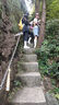 伯希和（Pelliot）【轻翼】户外登山杖碳纤维伸缩超轻徒步手杖爬山拐杖165036017黄 实拍图