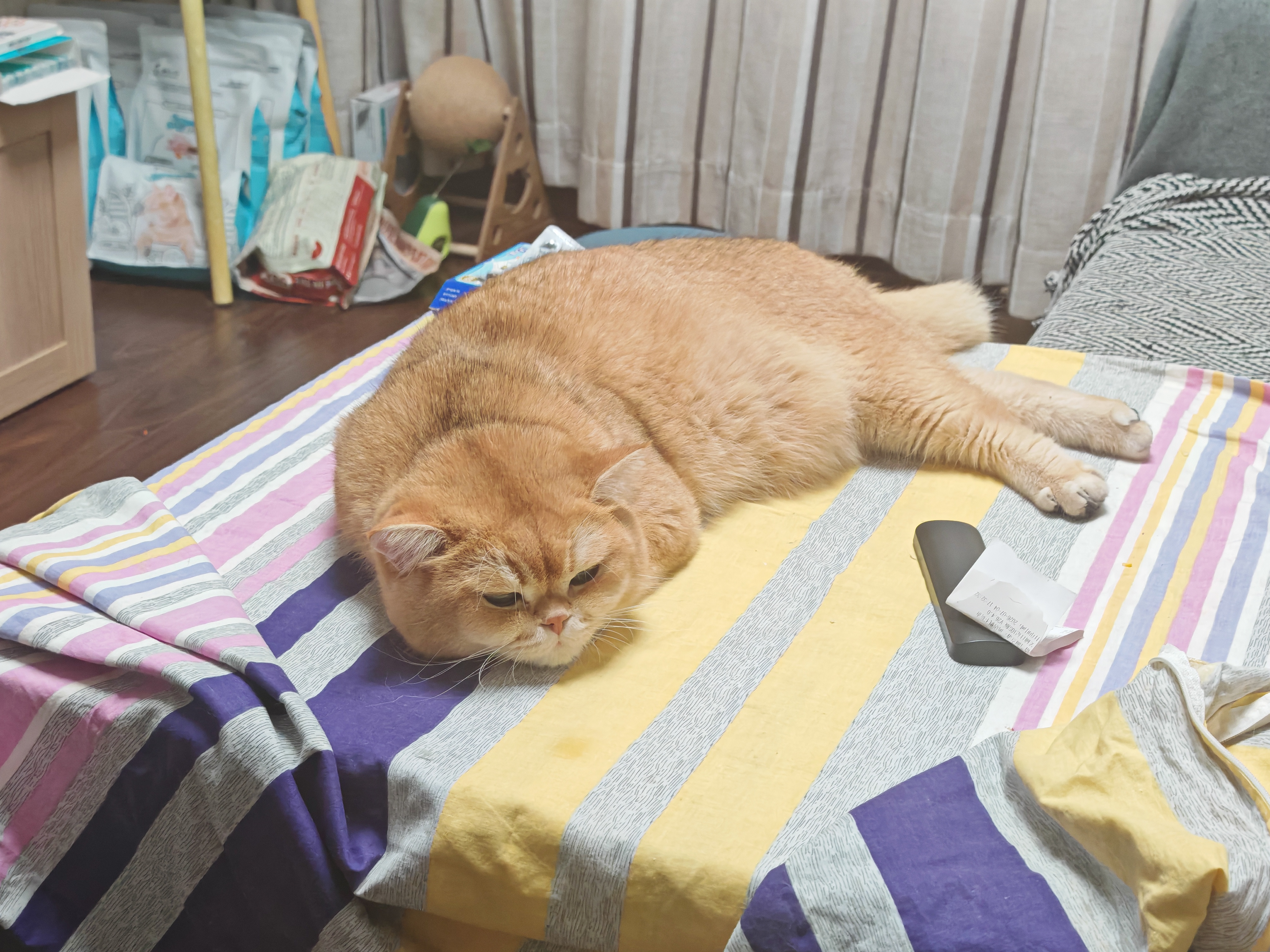 红狗 化毛膏120g*3支 猫咪化毛膏猫咪营养膏化毛球片猫草片排毛 实拍图