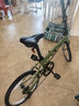 大行（DAHON）经典D6折叠自行车20英寸6速成人休闲单车 KBC061 青草绿 20英寸 实拍图