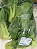 上海青约500g(油菜) 实拍图