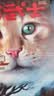猫武士首部曲6力挽狂澜 暑期阅读 课外推荐   省钱卡 实拍图