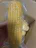 京鲜生&爷爷和月月一级黄糯玉米单棒250g+*6棒 共3斤真空包装源头直发 实拍图